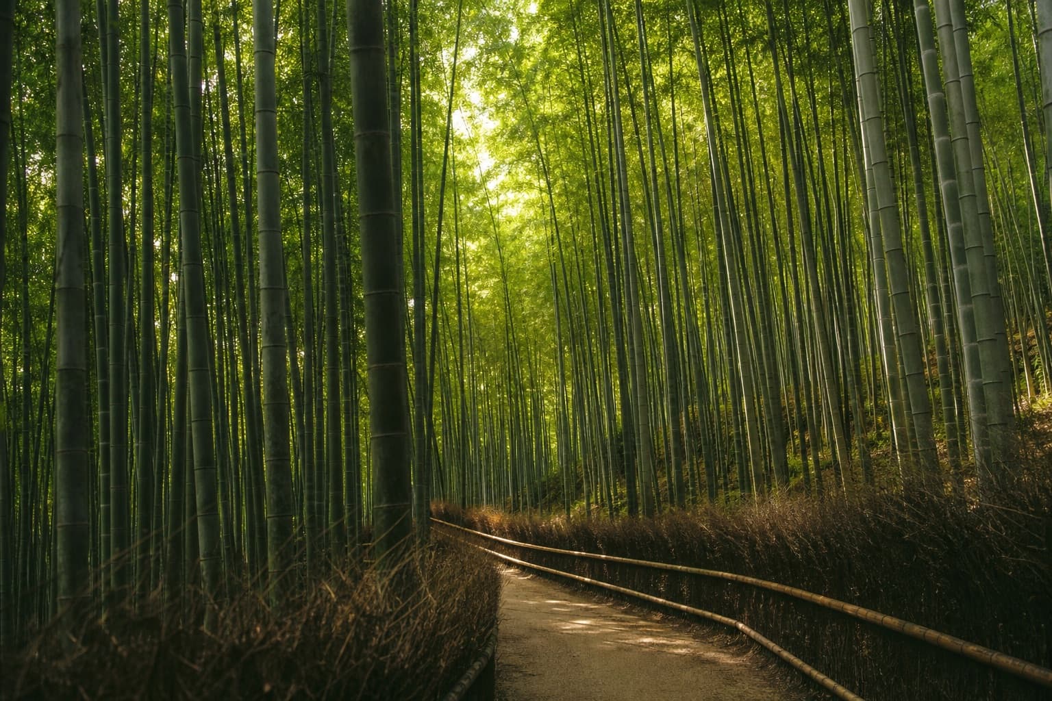 Damyang