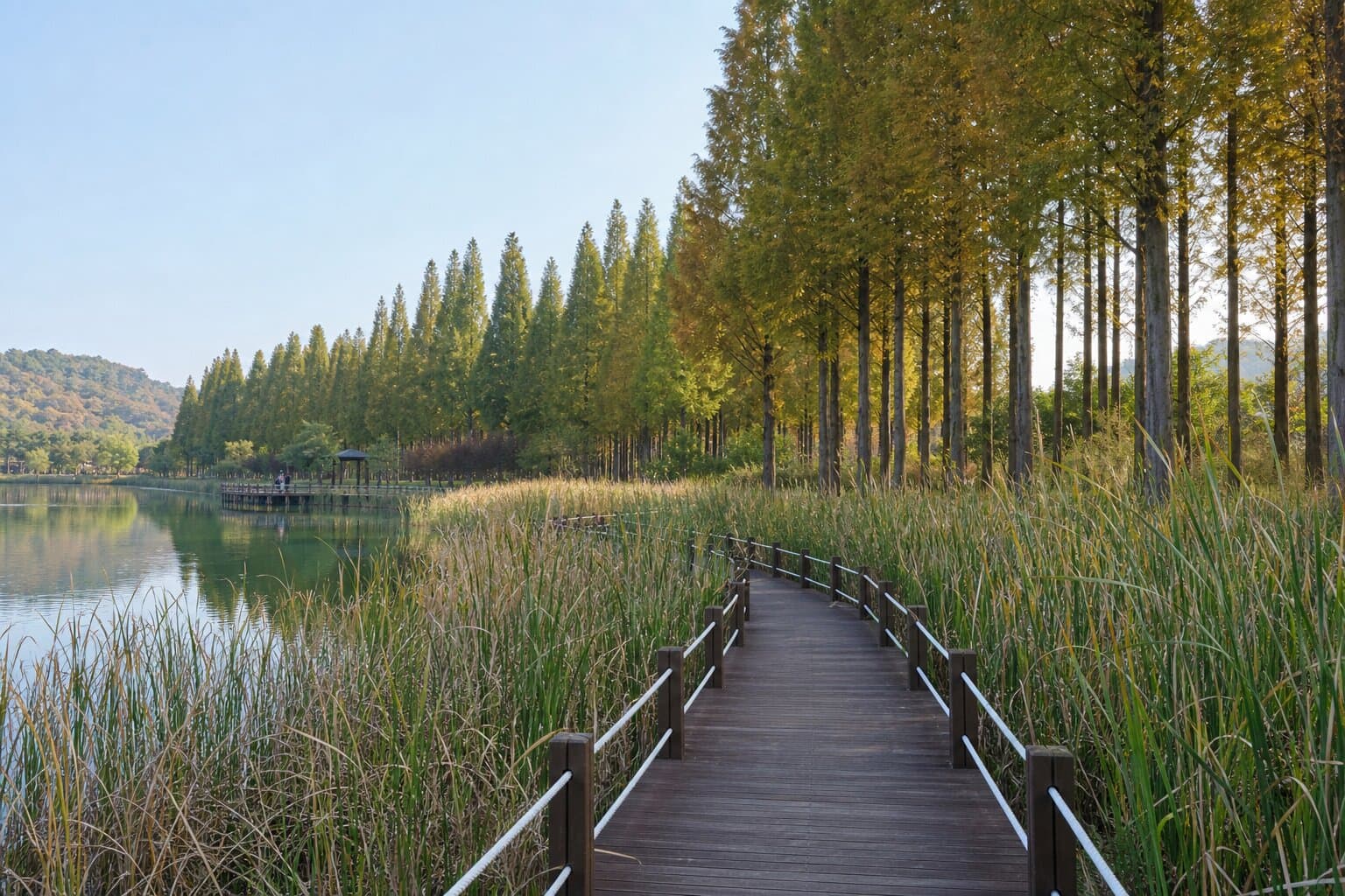 Gwangju Lake Eco-Park