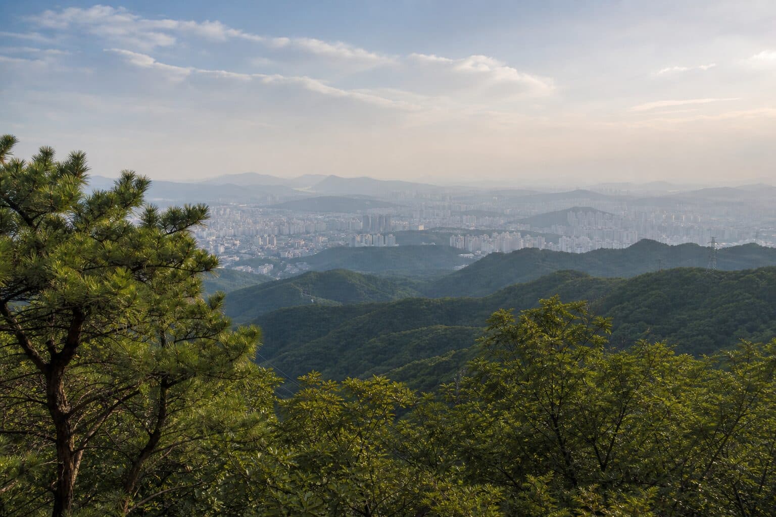 The city from the ridge
