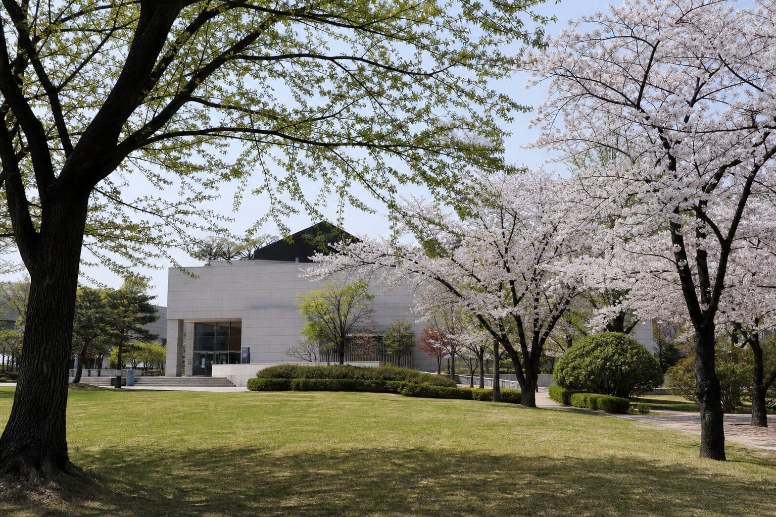 Jungoe Park