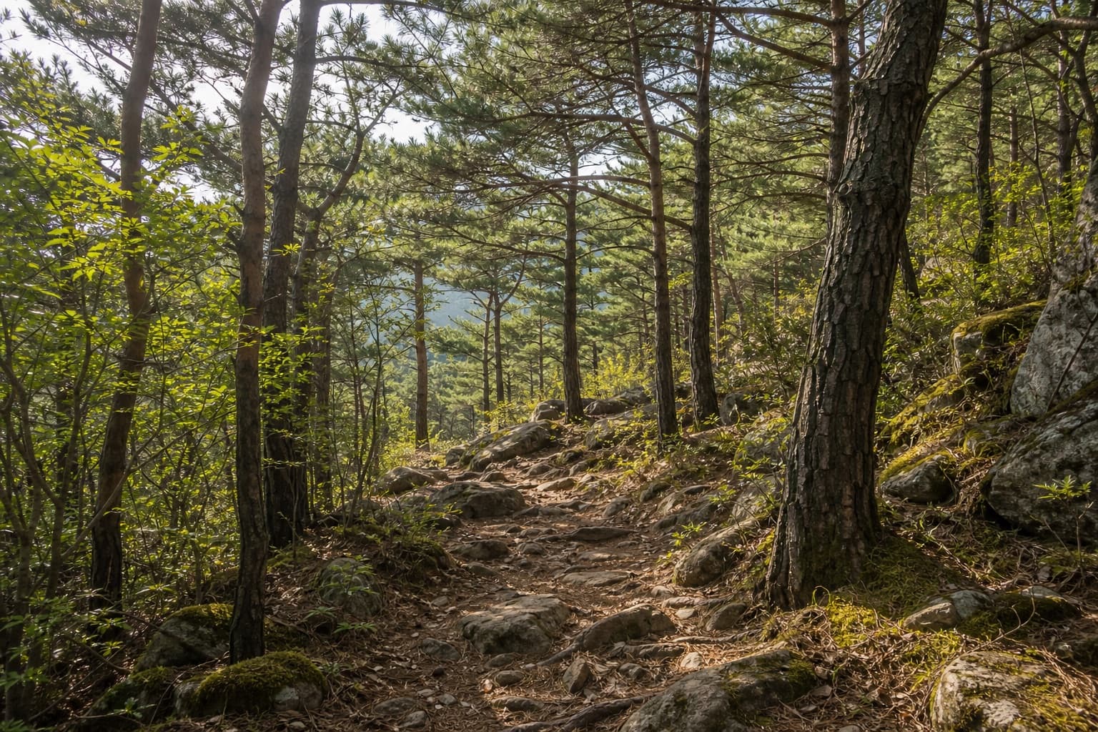 Mudeungsan National Park