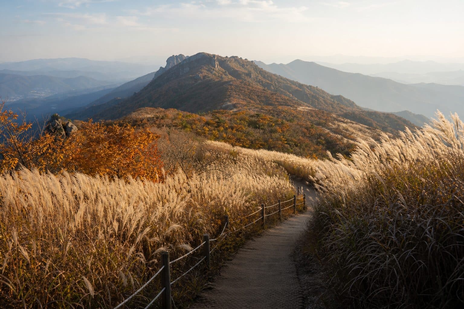 Up the silver-grass ridge