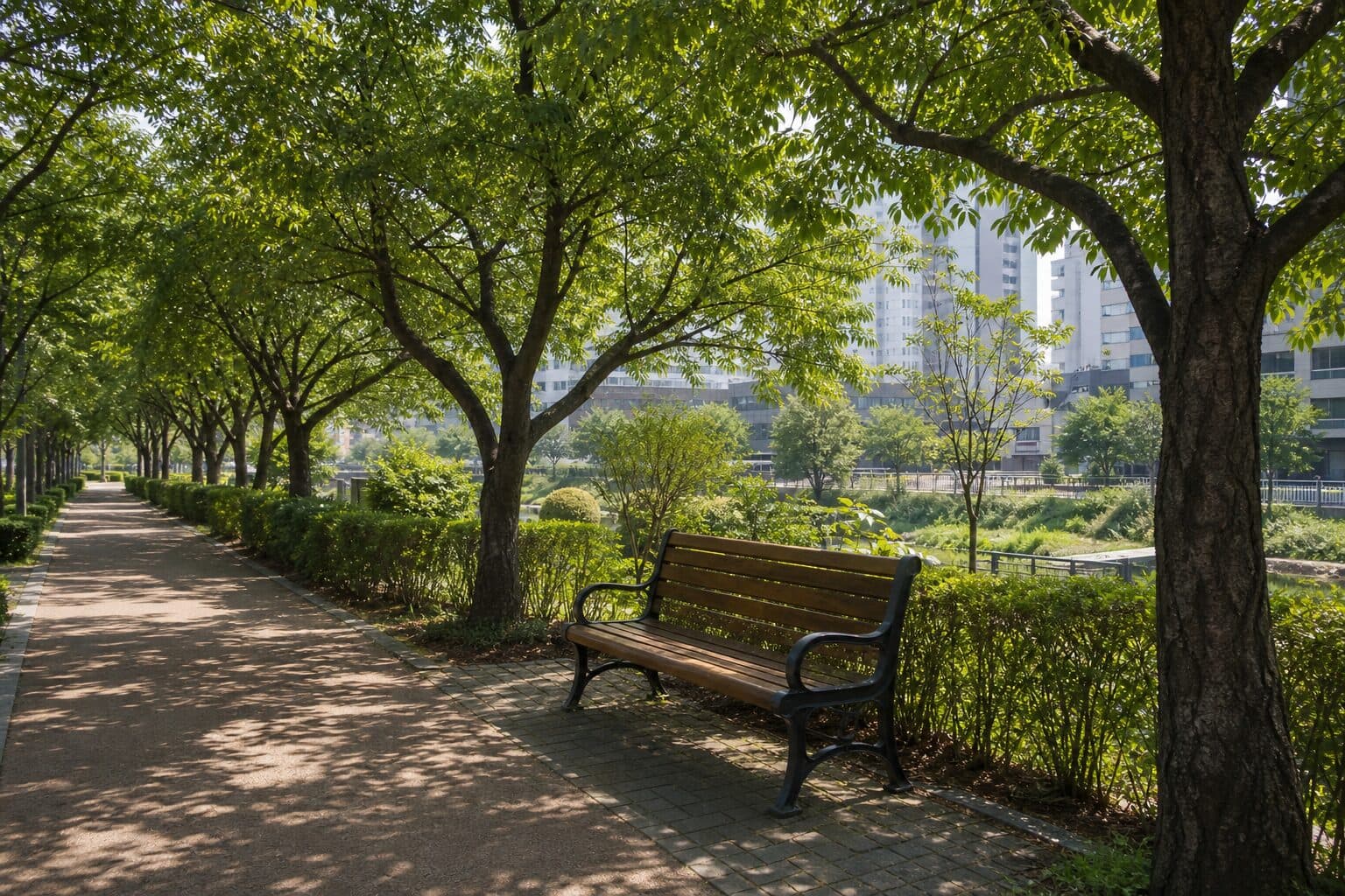 A bench in the shade