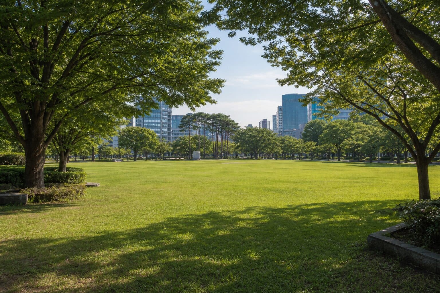 A downtown lawn